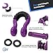 Aya Gear D Ring Shackle (2 Pack) 62,700 Ibs Break Strength with 7/8