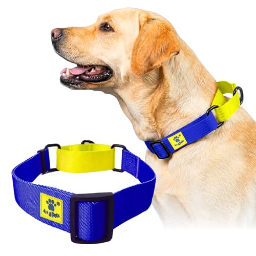 Image of A+a Pets Martingale Dog Collar | No Pull Design, No Neck Strain, No Choke Design | for Large & Medium Dogs | Rust Free, Waterproof Nylon Training Collar (Blue & Yellow), 30 x 2.5 Cm