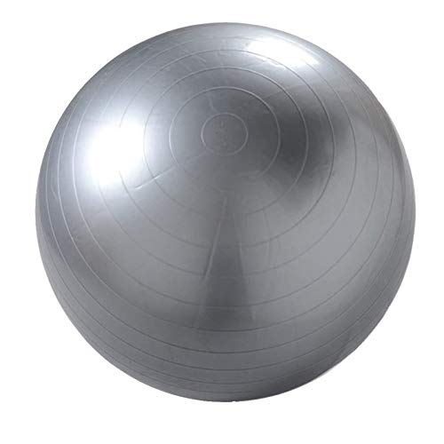 Natural Logistics Fitball 65-75cm. Pelota de Yoga, Pilates, Fitness (Gris, 65)