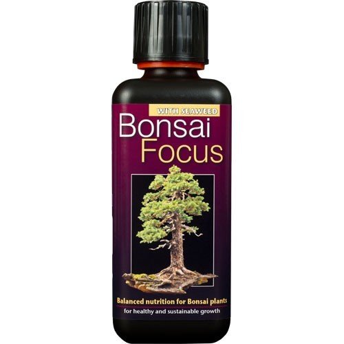 Bonsai Focus Growth Technology 300ml