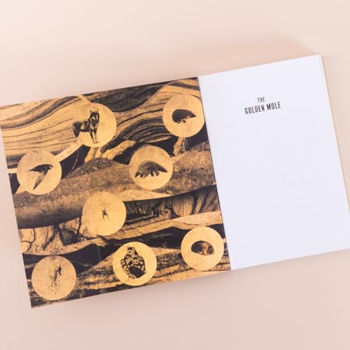 The Golden Mole: and Other Vanishing Treasure