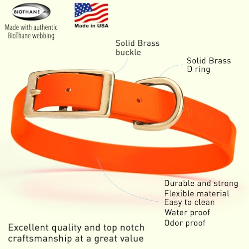 Image of Viper Biothane Heavy Duty Waterproof Dog Collar Strong Coated Nylon Webbing w /Solid Brass Hardware Odor-Proof Easy to Clean High Performance Fits Small Medium or Large Dogs, Hunter Orange