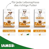 IAMS Hundefutter trocken mit Lamm - Trockenfutter für erwachsene Hunde ab 1 Jahr, geeignet für kleine & mittelgroße Hunde, 3 kg