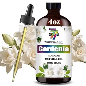 Gardenia Essential Oil (4 oz/120 ml) — Gardenia Oils for Aromatherapy, diffusers, humidifiers, Home fragrances, DIY Skin Care, Soap Making, DIY Candle, Yoga, and Meditation