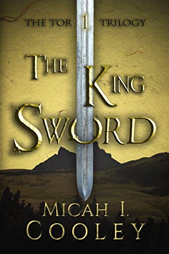 A book by a first-time author [I think - not sure]
