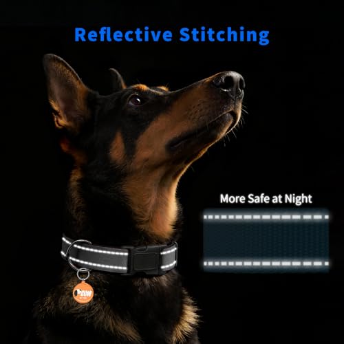 Reflective Dog Collar for Small Dogs with Dog Tags Personalized & Quick Release Buckle, Adjustable and Comfortable Nylon Pet Collar — view 5