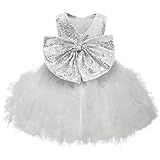 ABAO SISTER Baby Girls Sequined Flower Girl Dress Toddler Princess Tulle Tutu Pageant Ball Gowns (White, 12M)
