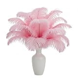 Natural Selected: Receive 20 premium 10-12 inch feathers, naturally molted and sterilized. Flat-packed in carbon paper for perfect condition. Wedding Centerpieces & Bohemian Decor Essentials: Add luxury to bouquets, altar backdrops, or boho home acce...