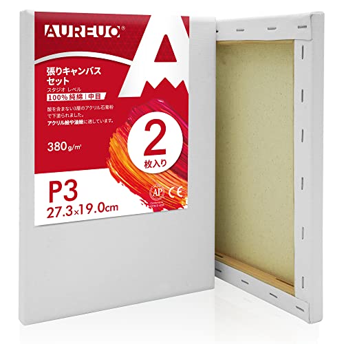 AUREUO ����L�����o�X �Z�b�g P3 (27.3cmX19cm) ���� 100���R�b�g�� 2�� ���S�� �G��p�� �|�p�G�n�� ������G ���p���� ���ʉ�E���G��E�A�N�������p