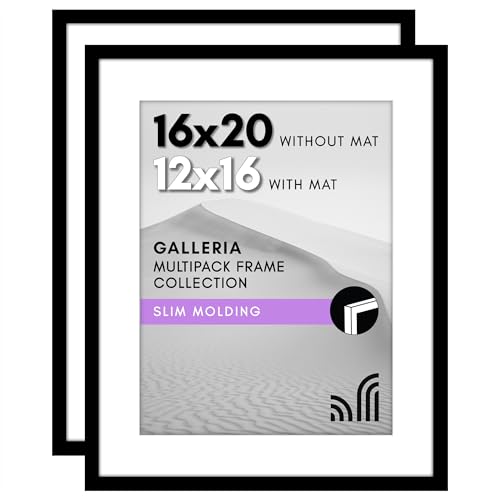 Americanflat 16x20 Poster Frame 2-Pack - Matted to 12x16 - Black