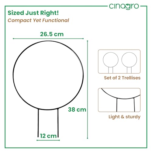 Image of CINAGRO Round-Shaped Iron Garden Trellis for Climbing Plants, Pack of 2 | Rust-Free, Decorative Vine Support Rack for Balcony Garden & Outdoor Plants