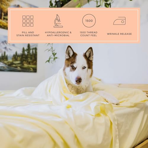 Image of Hospital Twin Extra Long 100% Cotton Jersey Sheet Set - Soft and Comfy - by Crescent Bedding -Twin XL Cream