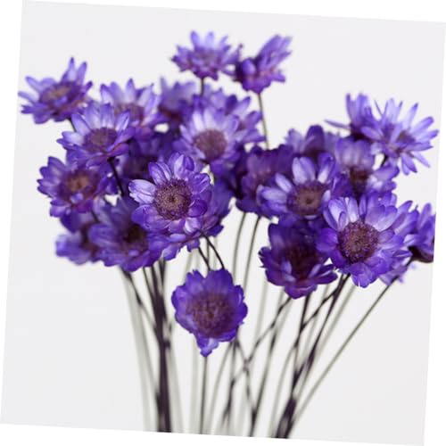 Ramo de 30 flores secas artificiales margaritas moradas miniatura 6