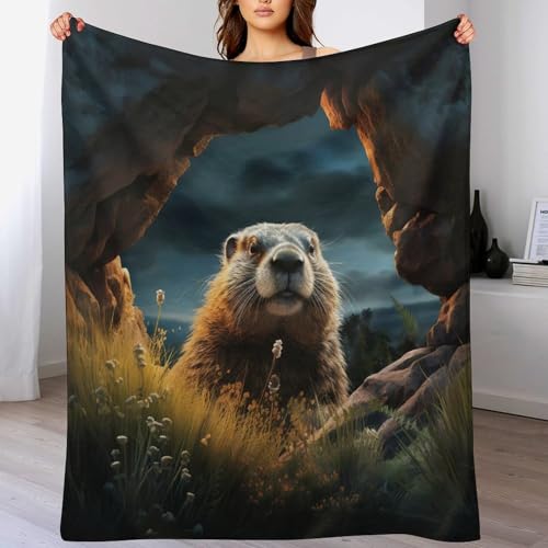 Couverture marmotte contre le froid couverture de lit douce chaude - 2