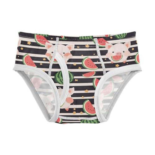 Wusikd Cute Cartoon Piggy Boys' Underwear Cotton Watermelon Black Striped Boys Briefs Soft Toddler Underwear 2T