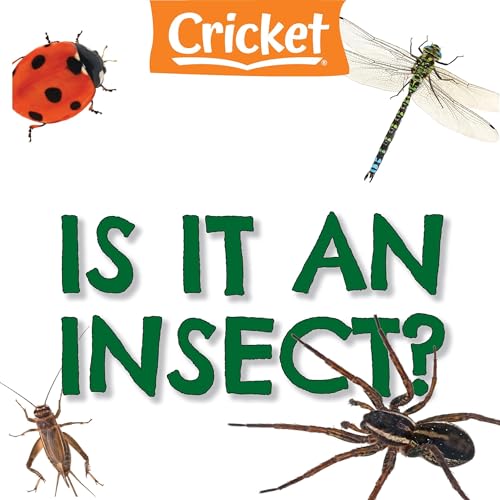Is It an Insect? by Amy Tao episode artwork