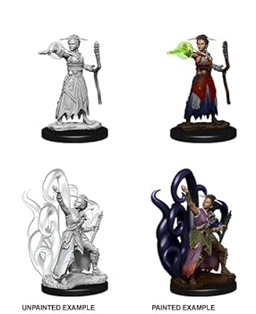 marvelous Amazon.com: Nolzurs Marvelous Miniatures Wizkids - D&D