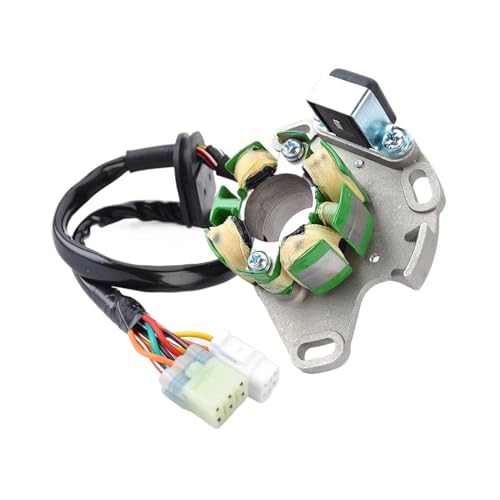 Bobina del estator del generador para encendido estable en RM250