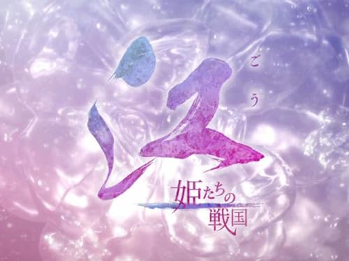 『大河ドラマ 江 姫たちの戦国』