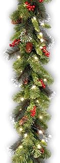 National Tree 9 Foot by 10 Inch Crestwood Spruce Garland with Silver Bristle