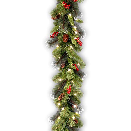 National Tree 9 Foot by 10 Inch Crestwood Spruce Garland with Silver Bristle