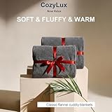 CozyLux Kuscheldecke Flauschig 2er Set Decke 150x200-2 Stücke Set Flanell Kuscheldecke 150x200, Weiche Sofa Decke, Warme Fleecedecke Wohndecke, Leicht Sofa Überwurf, XL Blanket 150x200 cm, Grau