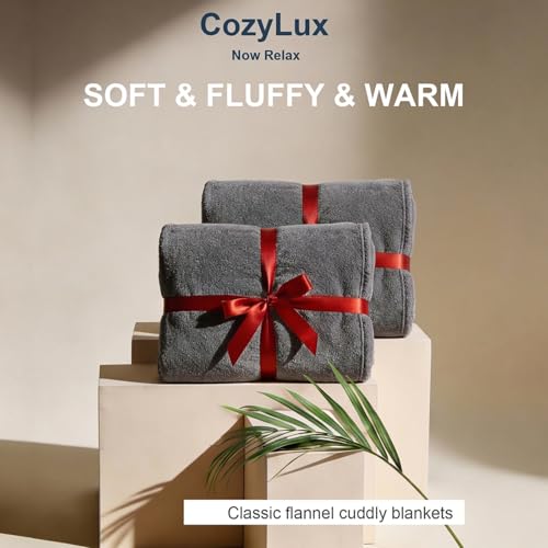 CozyLux Kuscheldecke Flauschig 2er Set Decke 150x200-2 Stücke Set Flanell Kuscheldecke 150x200, Weiche Sofa Decke, Warme Fleecedecke Wohndecke, Leicht Sofa Überwurf, XL Blanket 150x200 cm, Grau