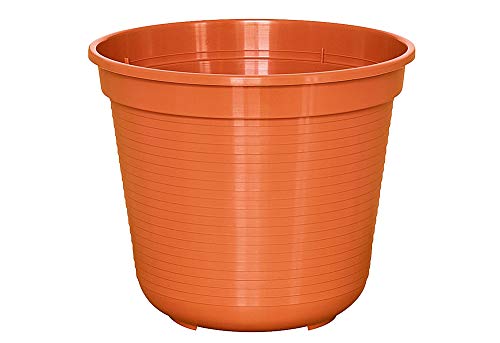 Unbekannt GELI Pflanztopf Standard 26cm Terracotta, 10 Stück