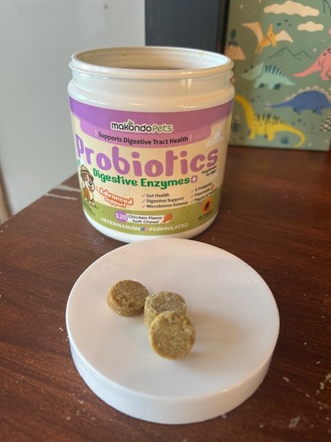 Dog Probiotics Digestive Enzymes - 120 Soft Chews