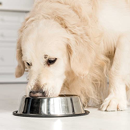 Schecker Nutrizeutikum - Zistrosenkraut für den Hund - pflanzliches Futtermittel für Hunde