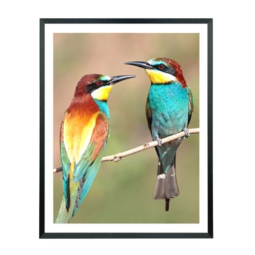 Mxtallup 19x24 Picture Frames Solid wood Display Pictures 17x22 Inch With Mat or 19x24 Inch Without Mat Poster Frames 17x22 in Photo Frames Wood Black (T22B1924W1722)