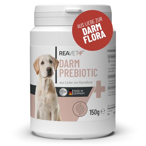 ReaVET Darm Prebiotic für Hunde 150g - Präbiotikum zur Unterstützung der Darmflora & Verdauung - Natürliche Darmkur bei sensibler Verdauung, Hund Darmflora aufbauen, Darmsanierung für alle Hunderassen