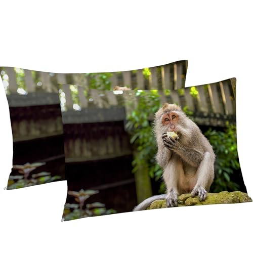Housse de couette 220x240 singe zippée anti-plis en microfibre - 5
