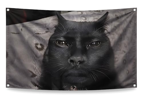 3x5 Feet Funny Flag with Faced Cat Wall Decor with Four Brass Grommets - Colored Single Sided Fun Banner with Animal - Polyester Room Wall Meme Flags - Wall Cool Tapestry for Bedroom and Room Guys