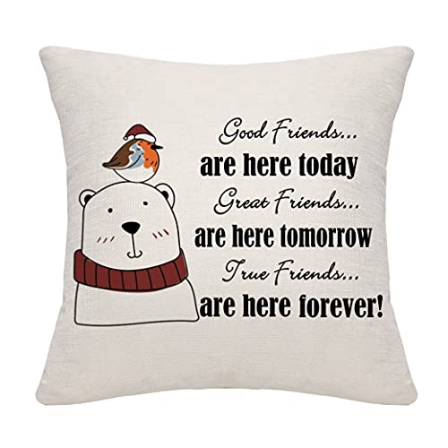 DANKHRA Housse de coussin cadeau d'amitié, cadeau d'anniversaire, cadeau de remise de diplôme, cadeau de Thanksgiving Cover