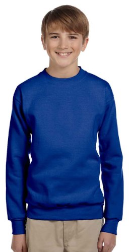 Hanes Boy's Big Cotton Crewneck Fleece Closure Sweatshirt