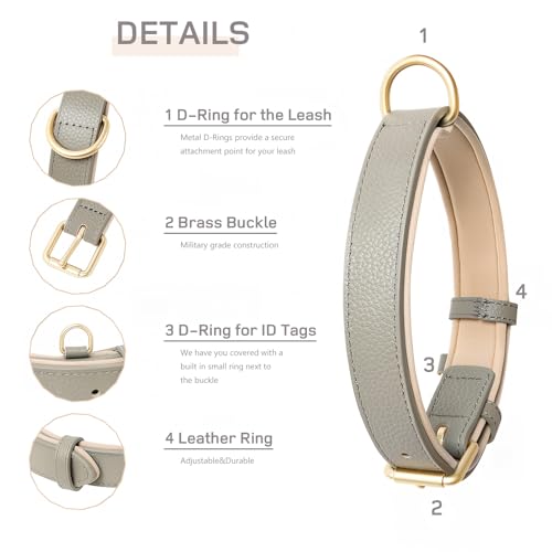 HEELE Hundehalsband Leder Hundehalsband mit gepolstert und echtes Leder, Verstellbar, Halsband für Welpen Kleine Mittel Große Hunde, Neu-Grau, S