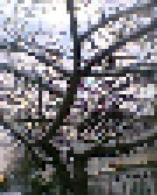 I love my new Asus chromebook