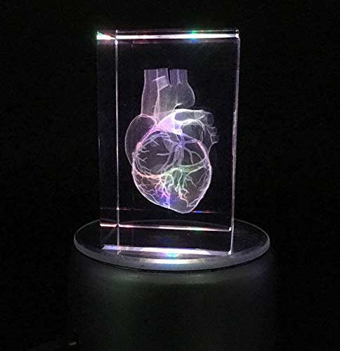 3D Human Heart Anatomical Model Paperweight(Laser Etched) In Crystal Glass Cube Science Gift (No Included Led Base)(3.1X2X2 Inch) #TOP4