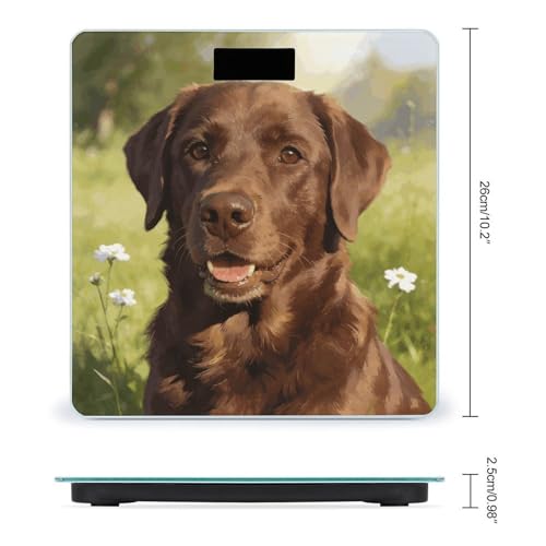 Báscula digital de baño Brune con vidrio templado miniatura 2