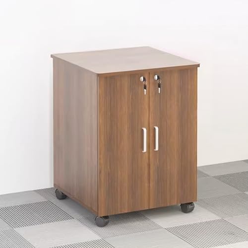 Classeur à double porte en acajou avec étagères amovibles pour bureau moderne