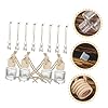 VICASKY 12pcs Glass Hanging Perfume Bottles with Wooden Caps Reusable Transparent Aroma Containers for Car and Home Air Freshening DIY Essential Oil Diffusers #5