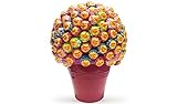 kit IRPot - Albero lecca lecca Chupa Chups - kit (Rosa)