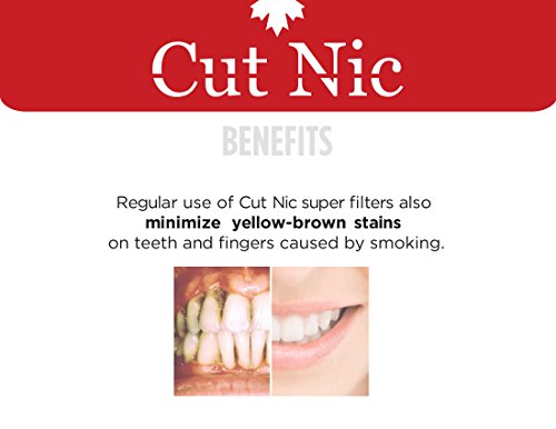 Cut Nic 4 Hole Disposable Cigarette Filters (300 Filters) Including 1 Travel Case #TOP5