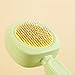 Pet Grooming Brush with Self-Cleaning Button, Mint Green