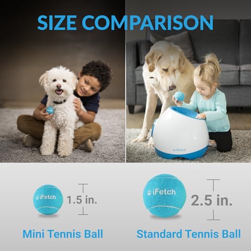 iFetch Mini-Tennisbälle, klein