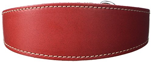 BBD Pet Products Whippet Schlupfhalsband, Einheitsgröße, 1,9 x 30,5 bis 35,6 cm, Rot