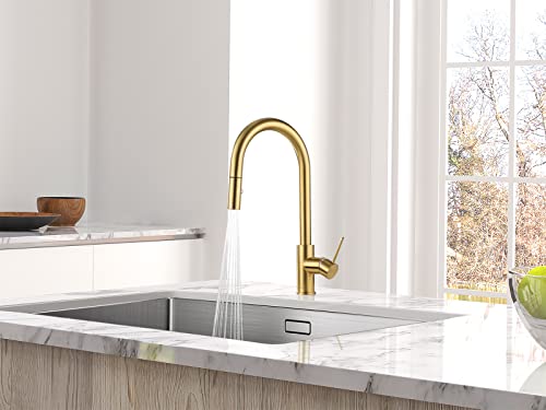 Aguastella As60Bg Brushed Gold Kitchen Sink Faucet With Pull Down Sprayer Single Handle #TOP4