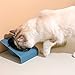 lamphle Cats Bowl 15 Degree Inclined Design Holder BPA Free Pet Food and Water Bowl Pet Supplies Dark Blue