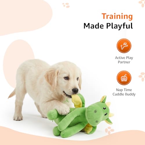 Image of Amazon Basics Green Bubble Dragon Squeaky Plush Dog Toy | Crinkle & Squeak Sound | Soft Cotton Stuffed | for Teething & Training | Ideal for Puppies & Small Dogs
